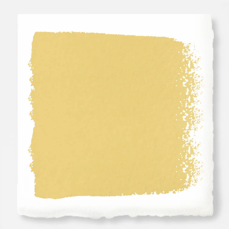 Amber - Premium Interior Paint