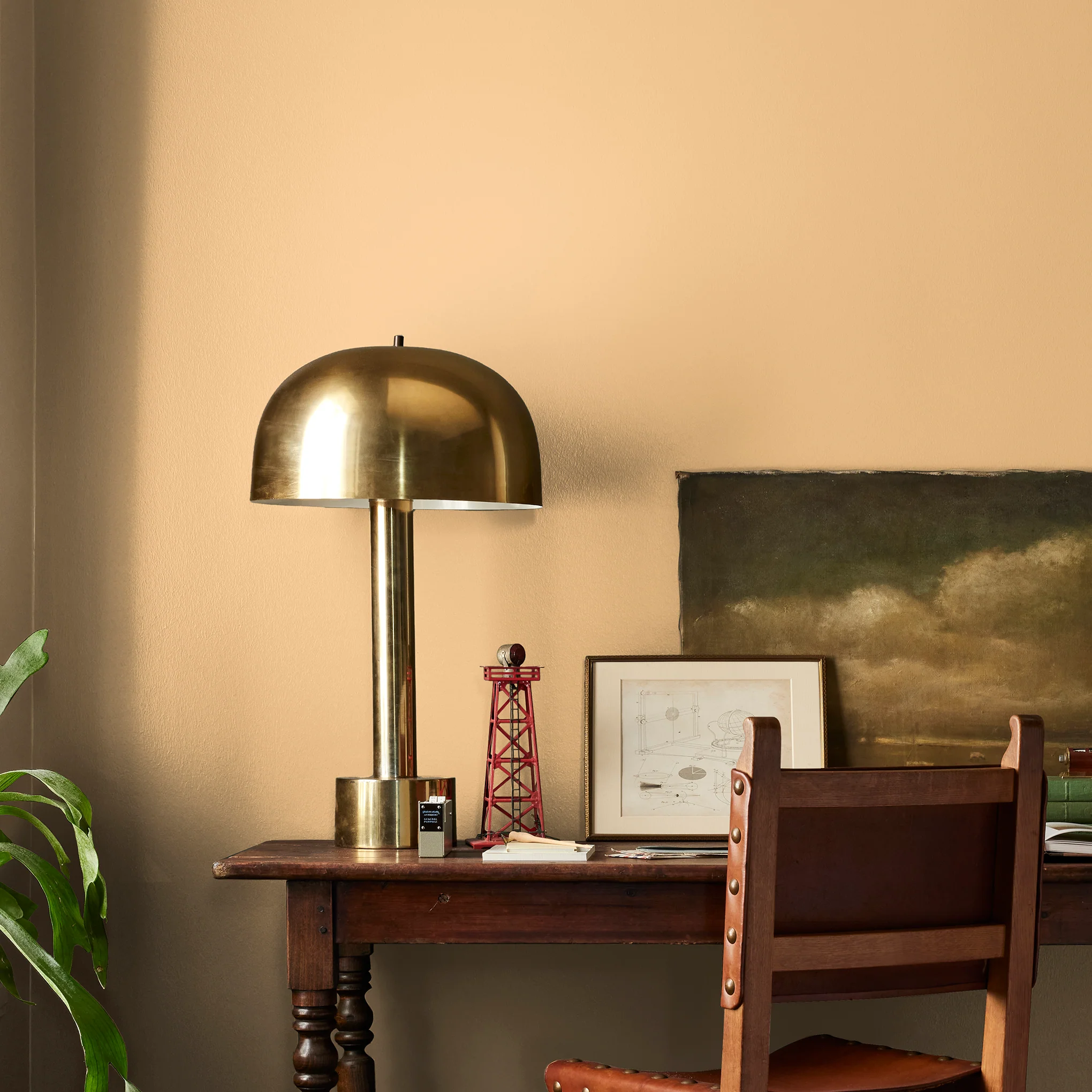 Amber -  Classic Interior Paint - Image 4
