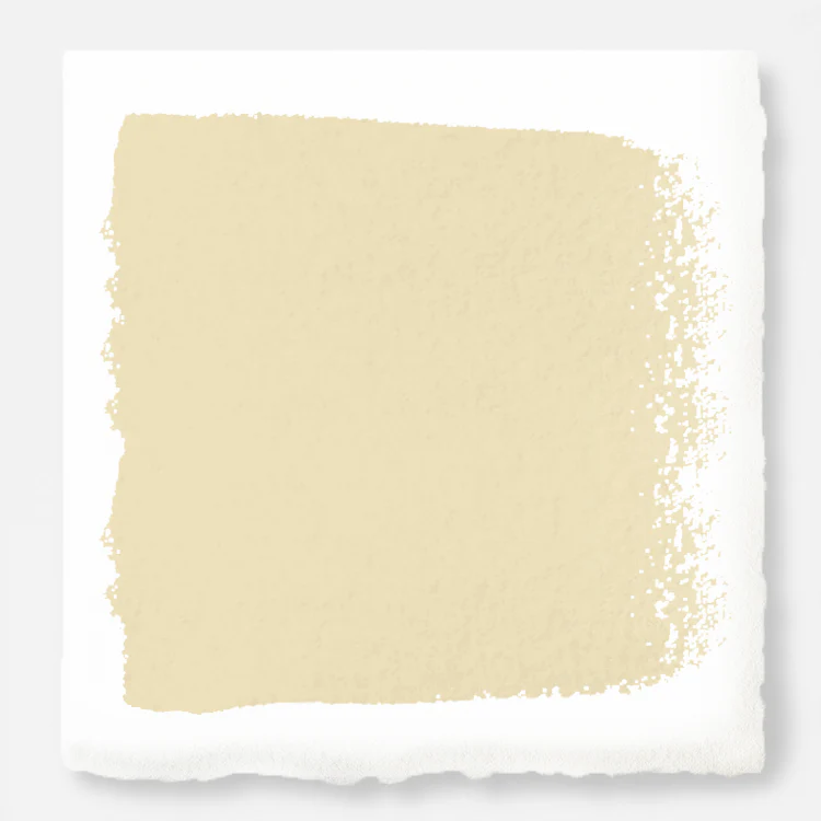 Ambient Light - Premium Interior Paint