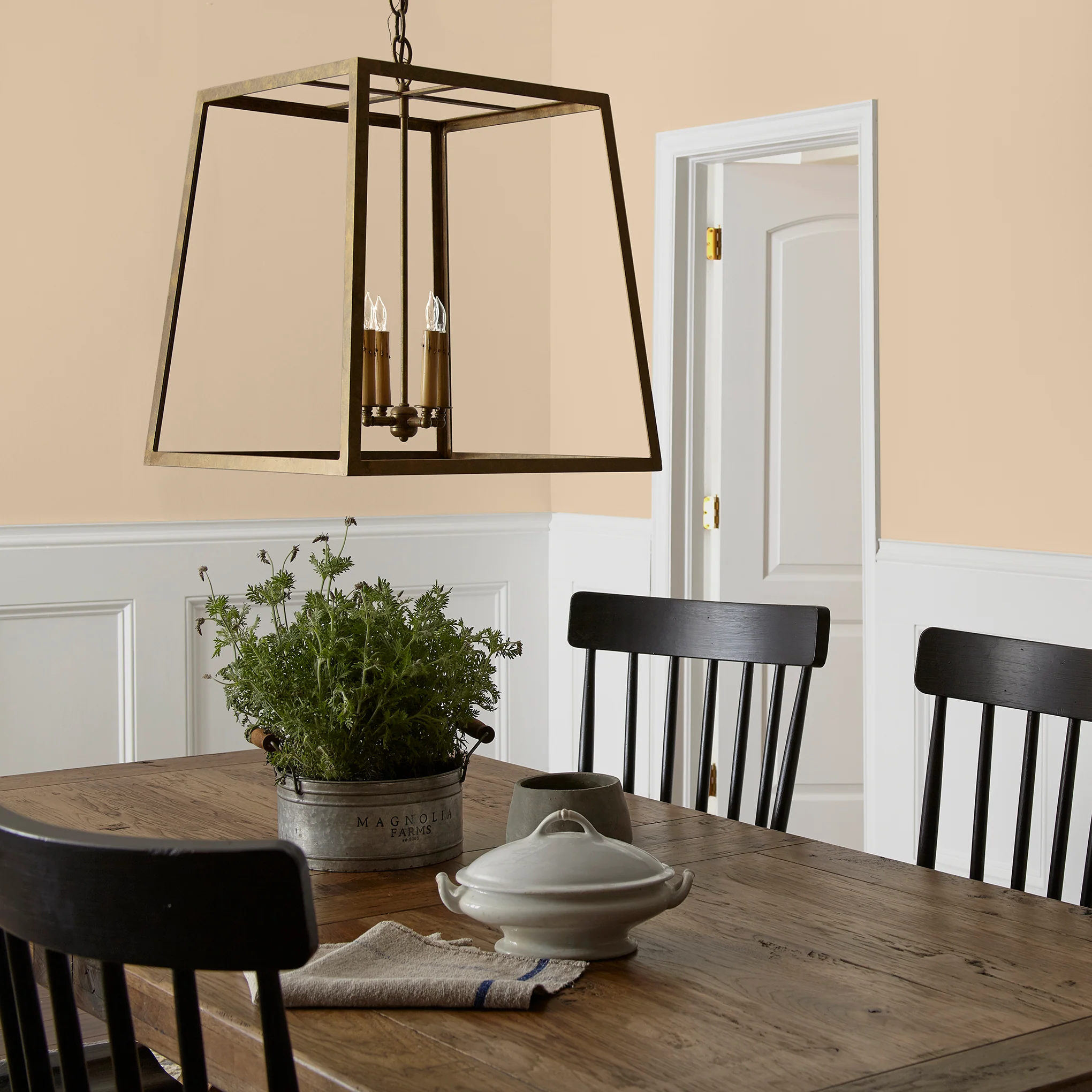 Ambient Light - Premium Interior Paint - Image 5