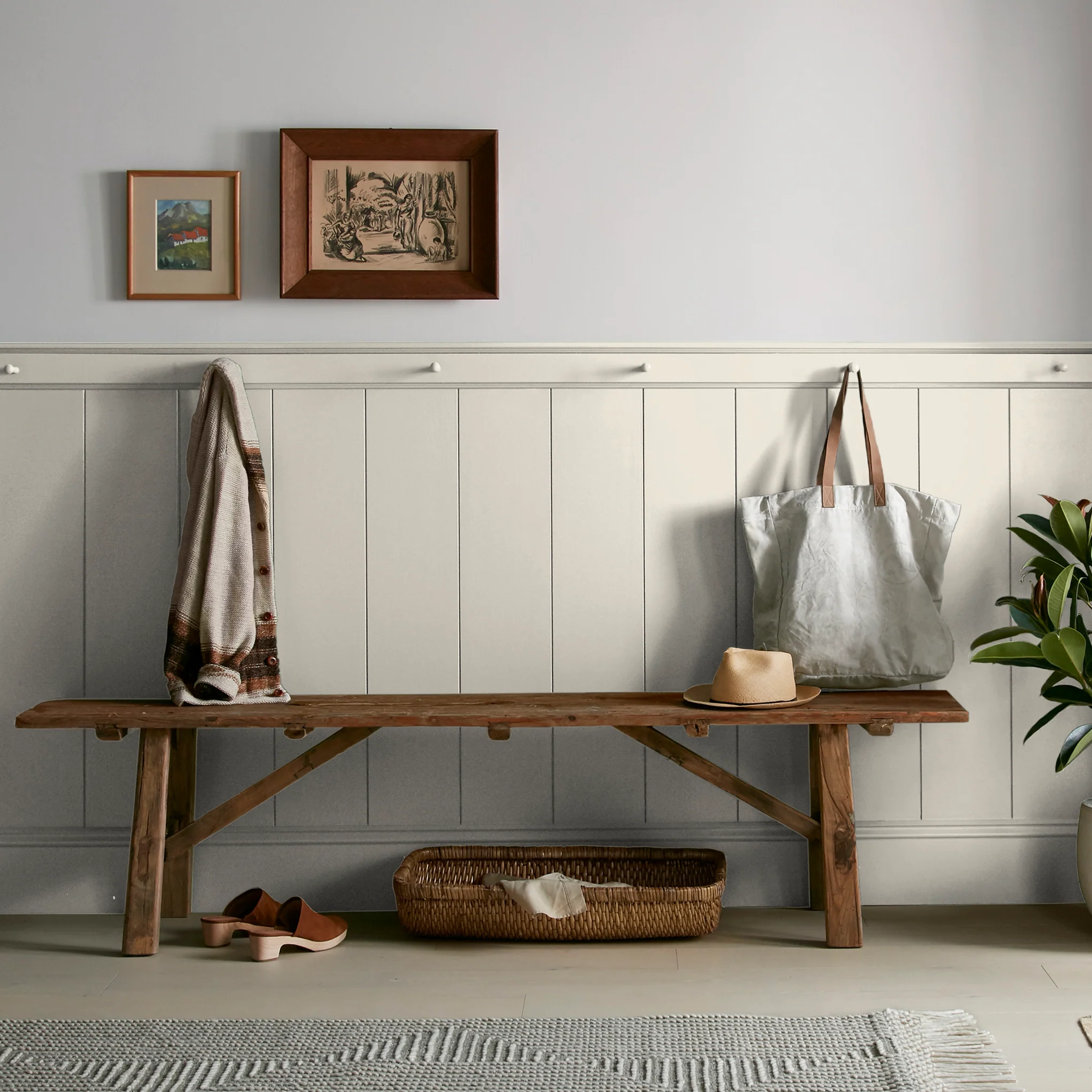 Blanched -  Classic Interior Paint - Image 6
