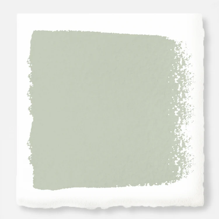 Earl Gray - Premium Interior Paint