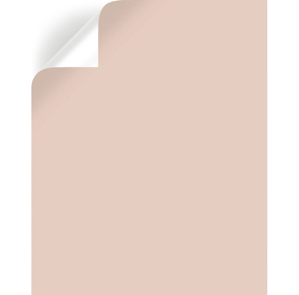 Ella Rose - Premium Interior Paint - Image 8