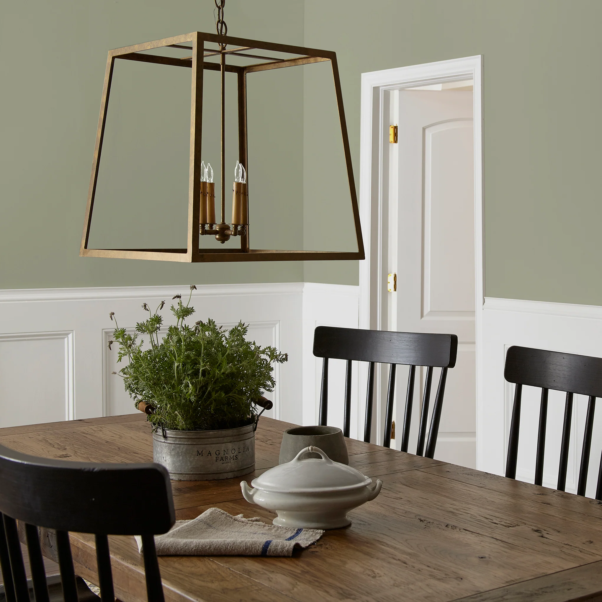 Garden Essential - Premium Interior Paint - Image 5