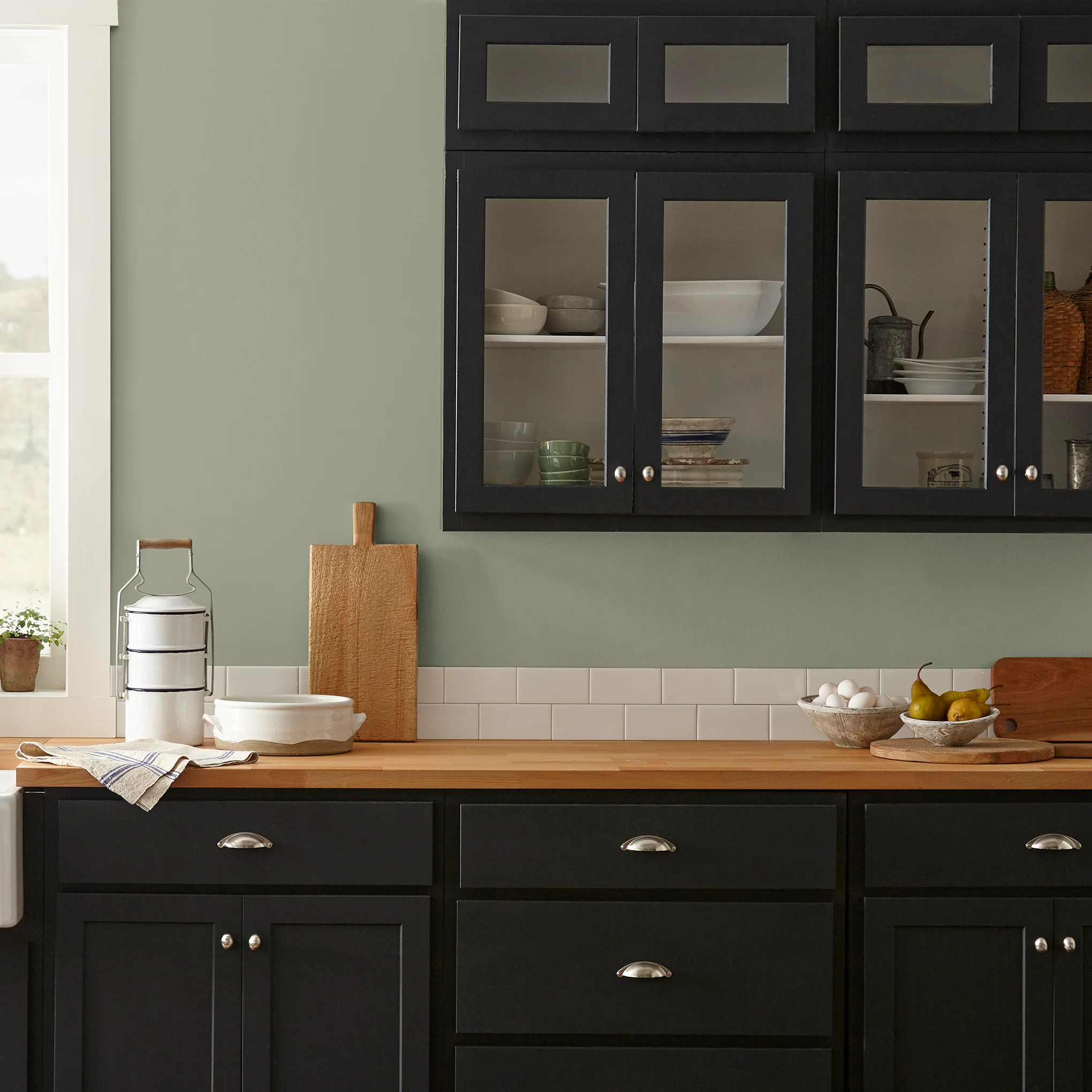 Garden Essential - Premium Interior Paint - Image 7