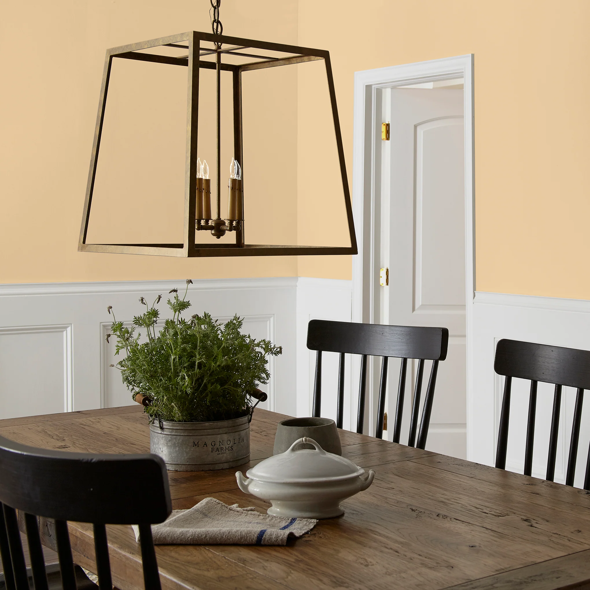 Lemony - Classic Interior Paint - Image 5
