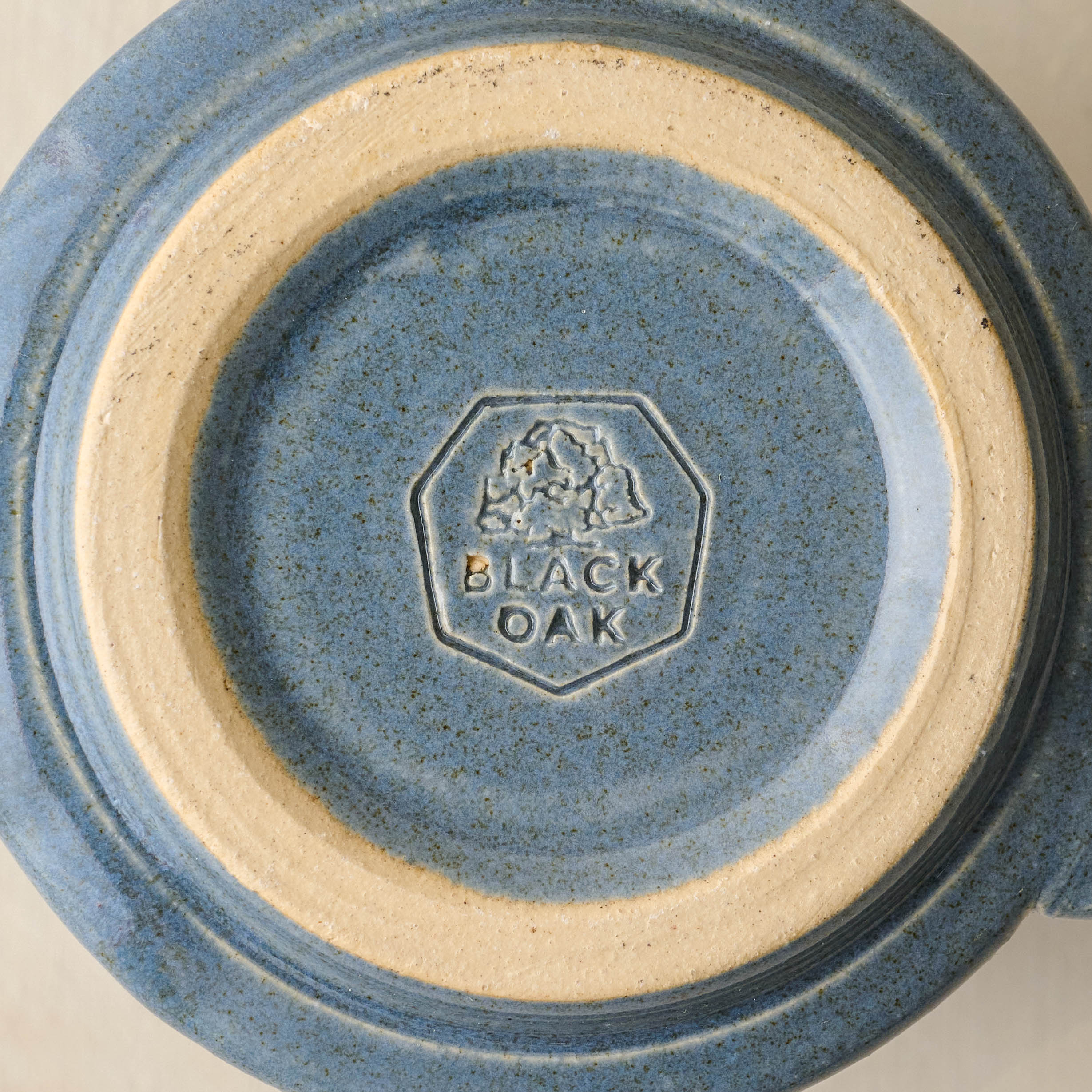 Magnolia Established Mug - Blue - Image 4