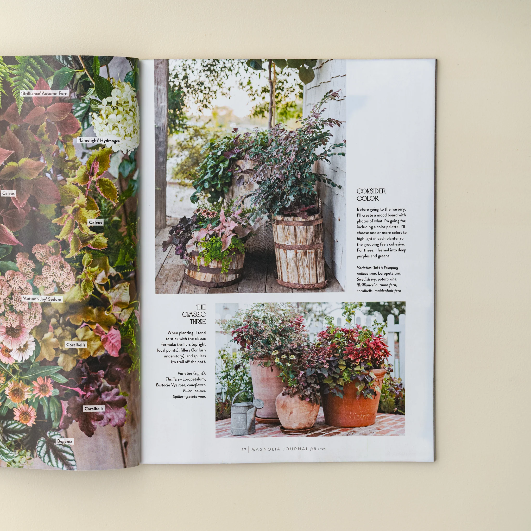 Magnolia Journal Fall 2025 - Image 4
