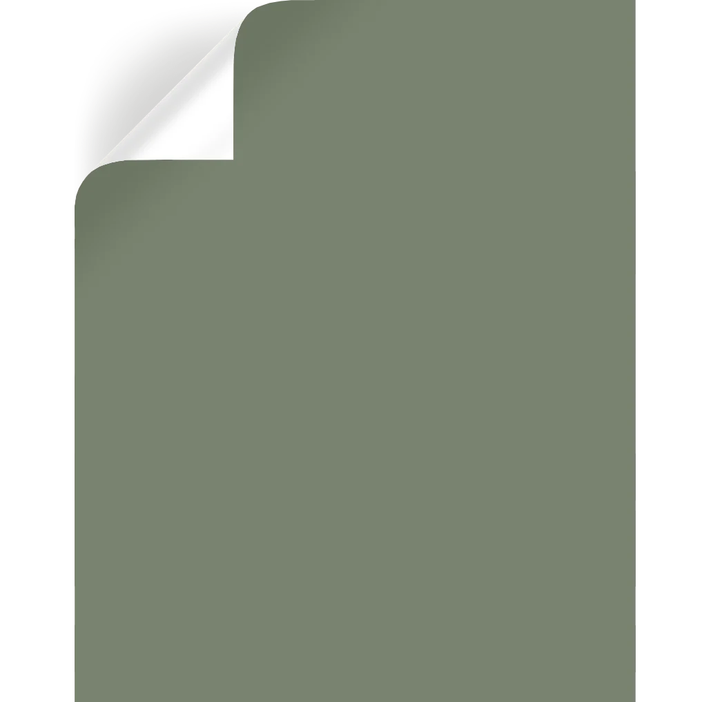 Olive Grove  -  Premium Interior Paint - Image 8