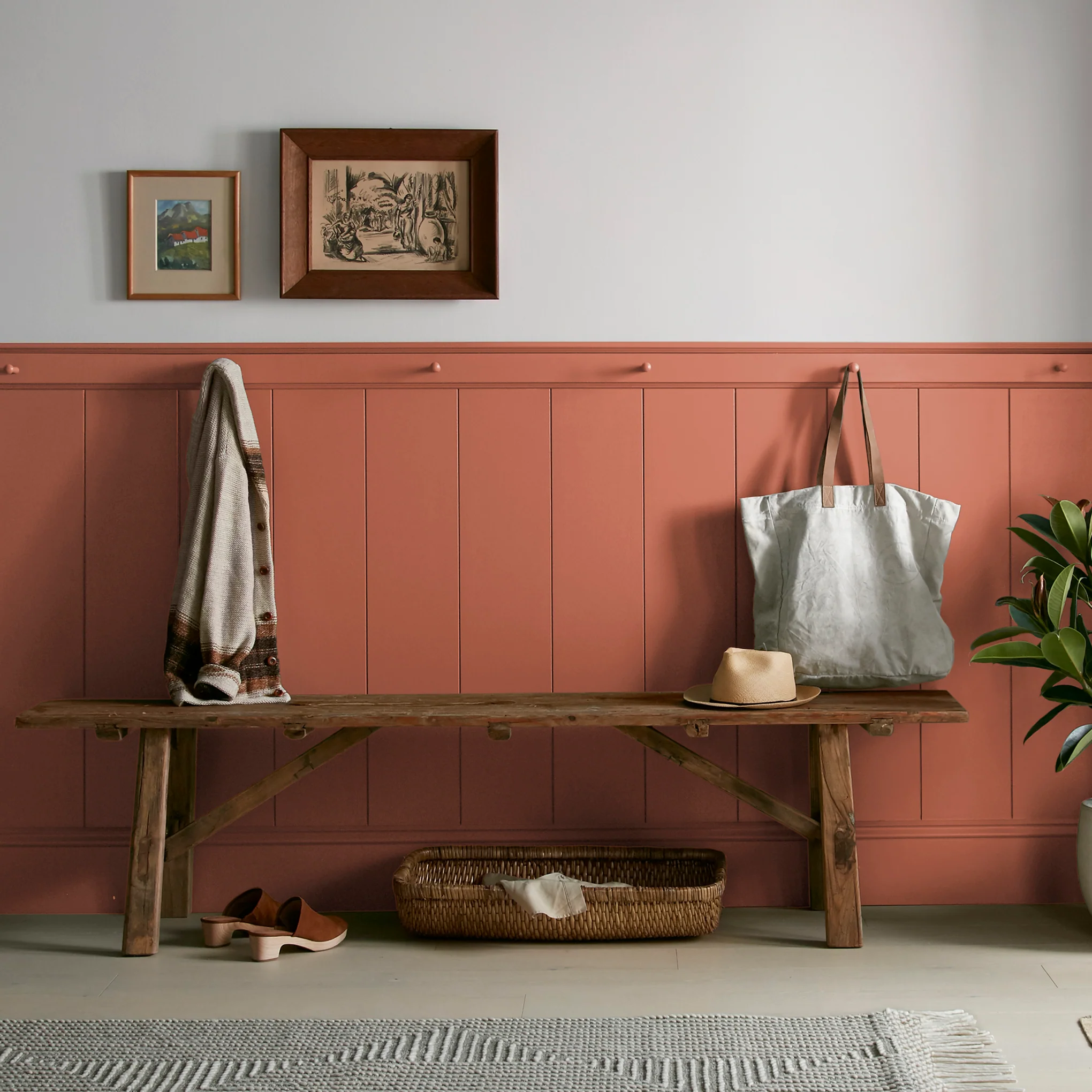 On Bosque - Premium Interior Paint - Image 6