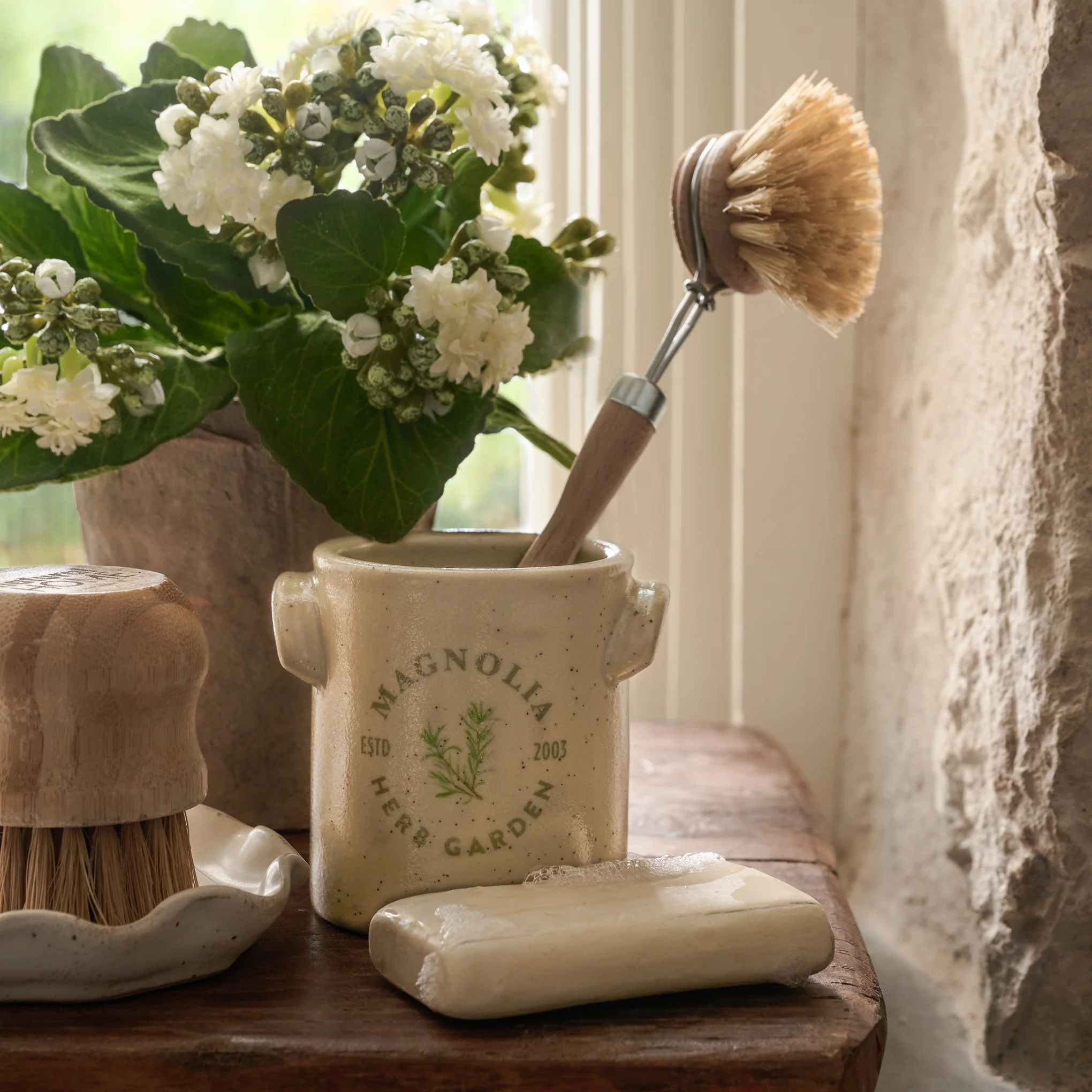 Potted Bouvardia Flower - Image 3