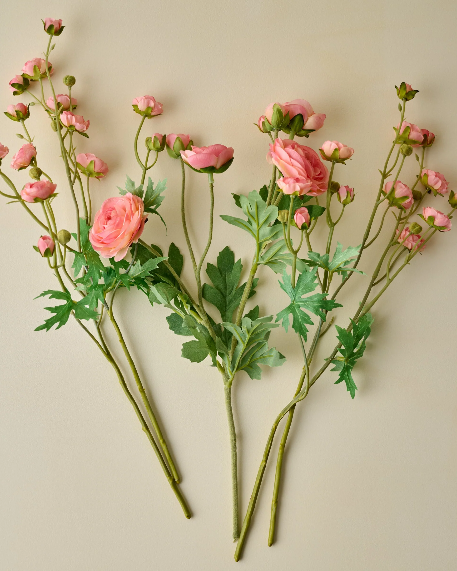 Ranunculus Bloom Bundle - Image 10