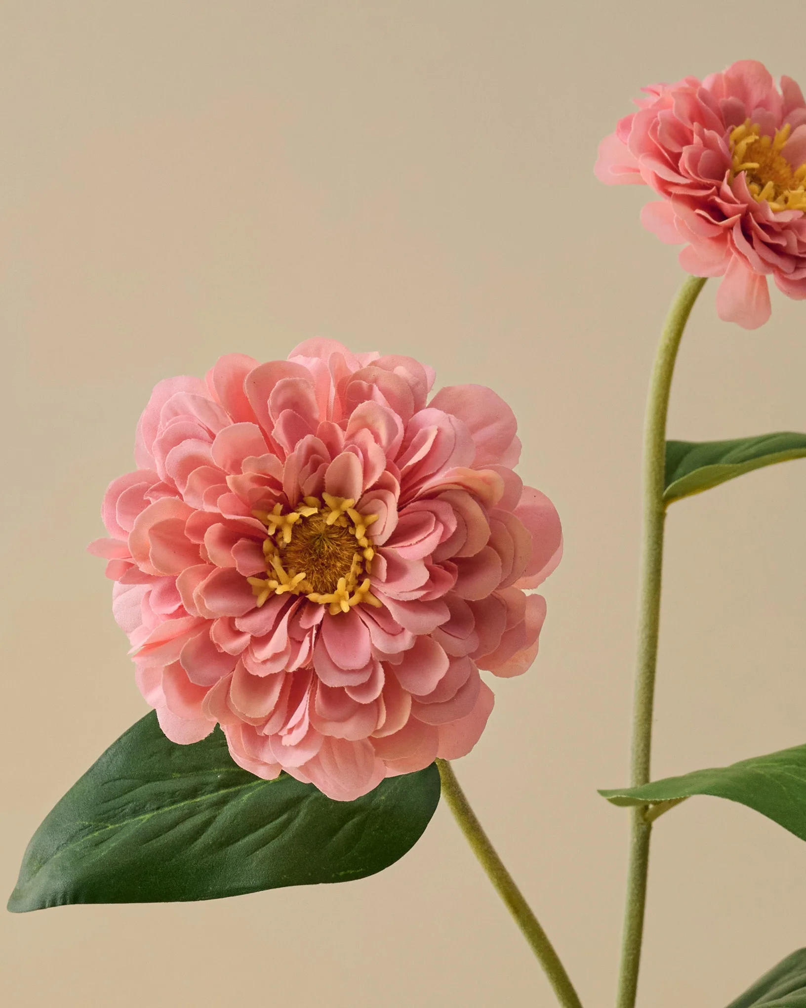 Real Touch Zinnia Stem - Image 6